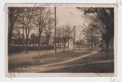  - Neratovice (Mělník), bio, sokol