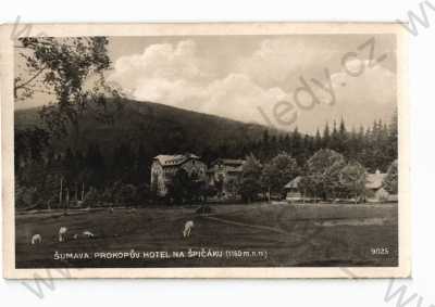  - Špičák, Šumava, Klatovy, Prokopův hotel, Foto-fon