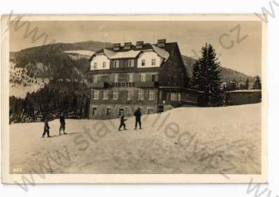  - Hotel Sirotek, Šumava, Klatovy, pod Špičákem