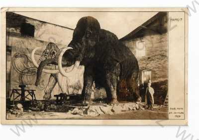  - Mamut, foto Absolon, Bromografia